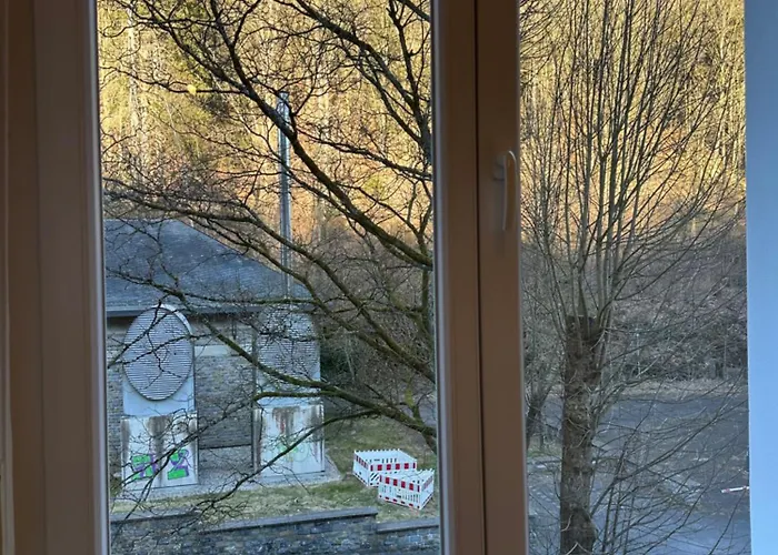 Liv-in Classic 蒙绍